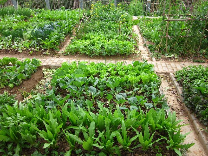 九游娱乐通道案例展示五